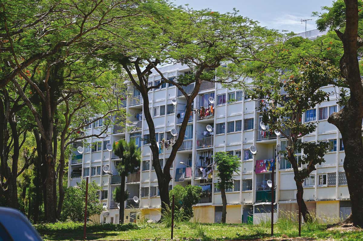 SaintDenis un plan de sauvegarde pour La Chaumière Leader Réunion