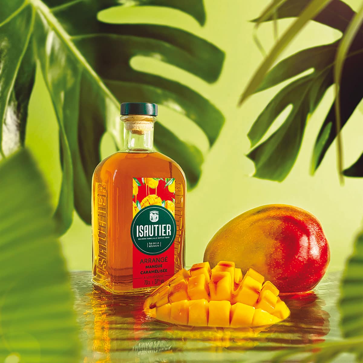 La famille des Arrangés de la Maison Isautier s’agrandit - Leader Réunion