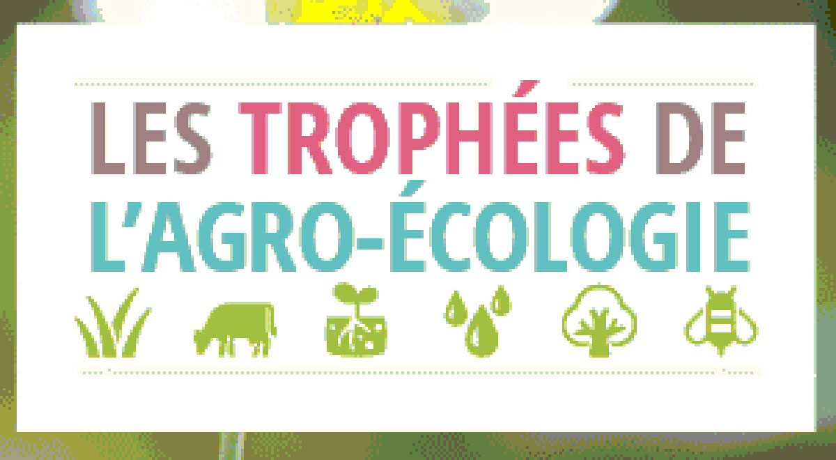 Agroécologie : les horticulteurs-pépiniéristes distingués - Leader Réunion
