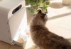 Yomy, le robot qui nourrit les minets