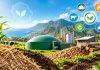 Le schéma biomasse actualisé