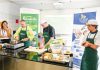 Einfuhr- und Bonduelle-Gebühren : wenn Pflanzen ihren Platz in der Küche einnehmen