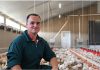 Breeding : French poultry farming goes beyond regulations